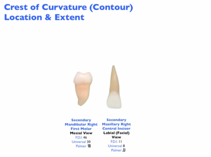 crest_of_curvature_location_extentHB2_Image.png