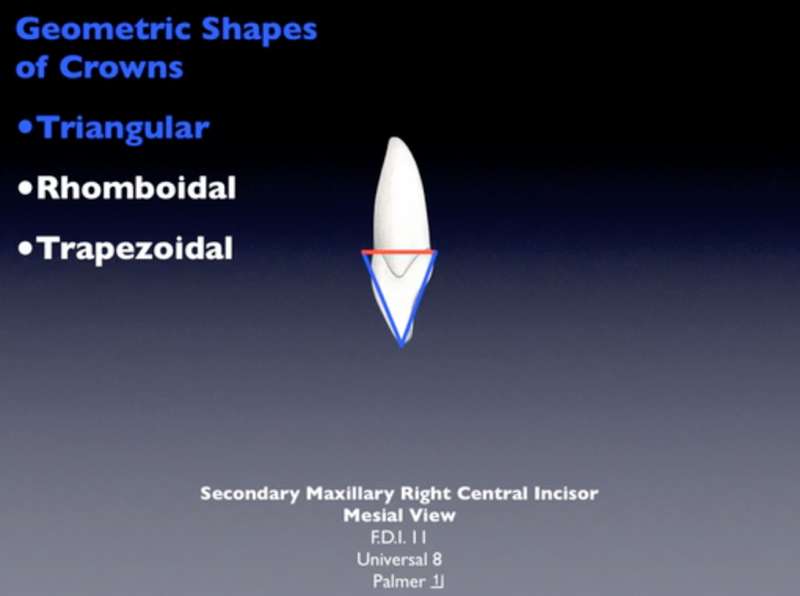 geometric_shapes_of_crownsHB2_Image.jpg