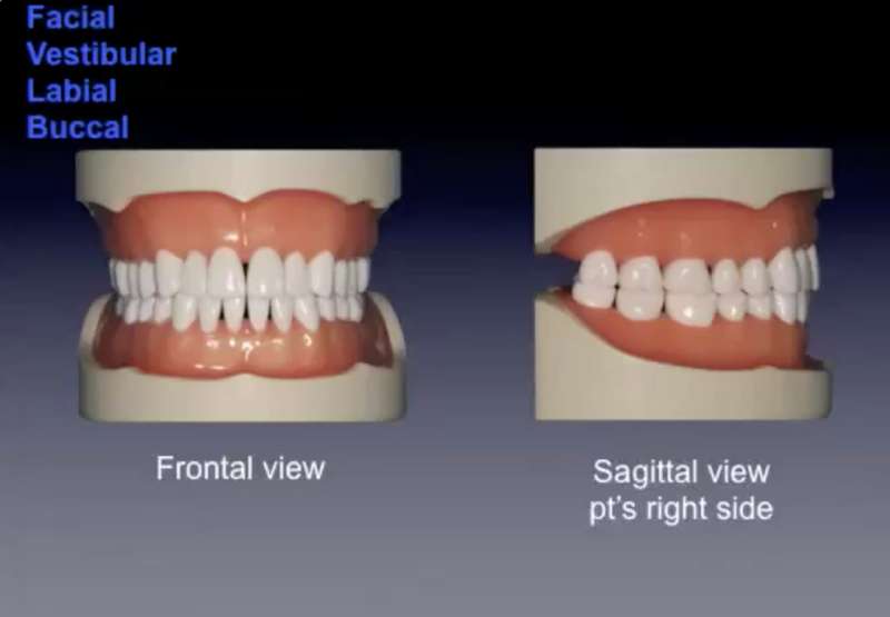 tooth_surfaces2HB_Image.jpg